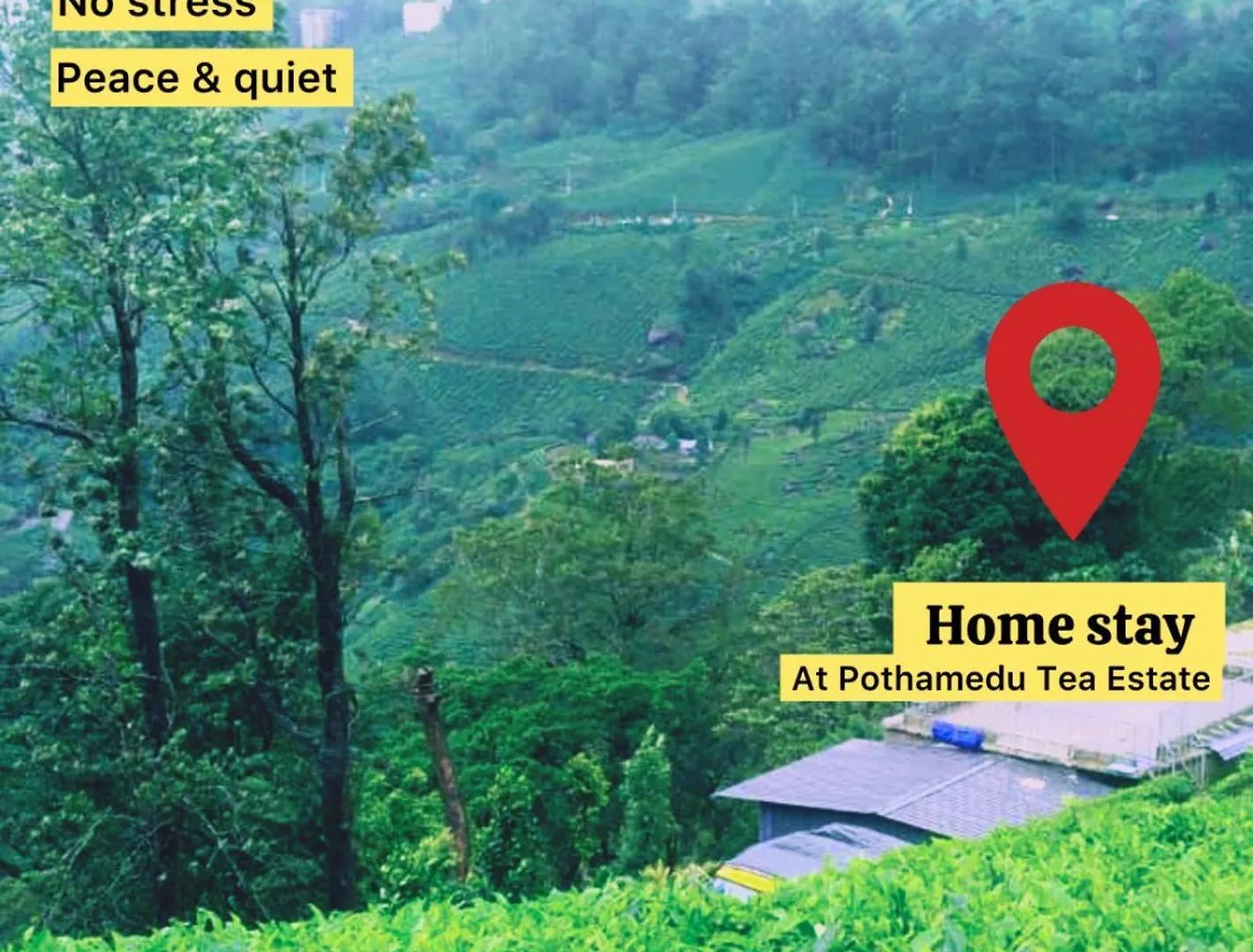 Villa 3 Bedroom Mountain Cottage Pothamedu - Hills Top, 3 Bed Room,Hall Public Parking Munnar Indien
